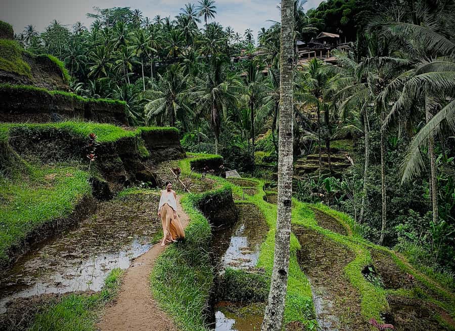Ubud: Tegalalang Rice Terrace Photos Tour with Swing Ticket - Tegalalang Rice Terrace walk: levels you can actually see