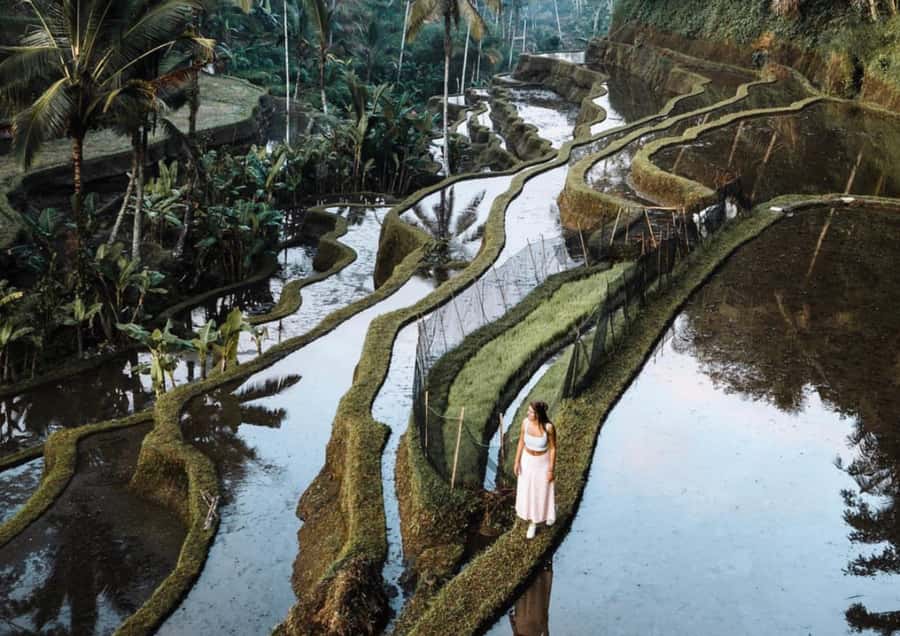 Ubud: Tegalalang Rice Terrace Photos Tour with Swing Ticket - The I Love Bali photo moment and how to make it work for your camera