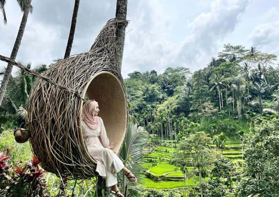 Ubud: Tegalalang Rice Terrace Photos Tour with Swing Ticket - How timing and transfers affect your experience in real life