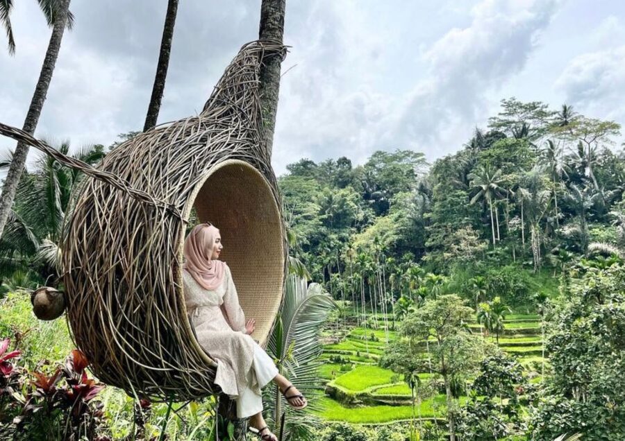 Ubud: Tegalalang Rice Terrace Photos Tour with Swing Ticket - Who should book this tour, and who should skip it