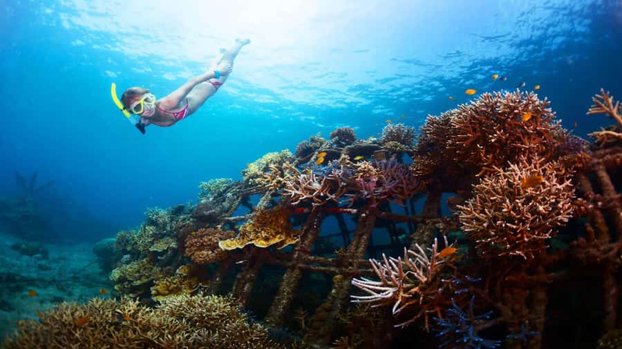 Ubud: Tegenungan Waterfall, Snorkeling, and Canyoning Tour - Snorkeling at Tanjung Jepun and Blue Lagoon: fish spotting and real instruction