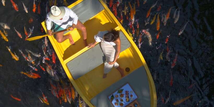Ubud: The Original Koi Fish Yellow Boat Photo Moment - Price and value: why $93 per group up to two can make sense