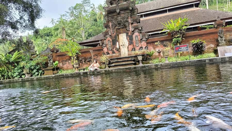 Ubud: Tirta Empul, Rice Terrace, Waterfall and Custom Tour - How the 9-hour schedule works without feeling chaotic