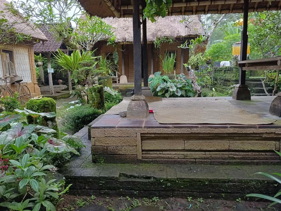 Ubud: Tirta Empul, Rice Terrace, Waterfall and Custom Tour - Waterfall time: Ulu Petanu, Goa Raja, and Grudugan with real swimming breaks