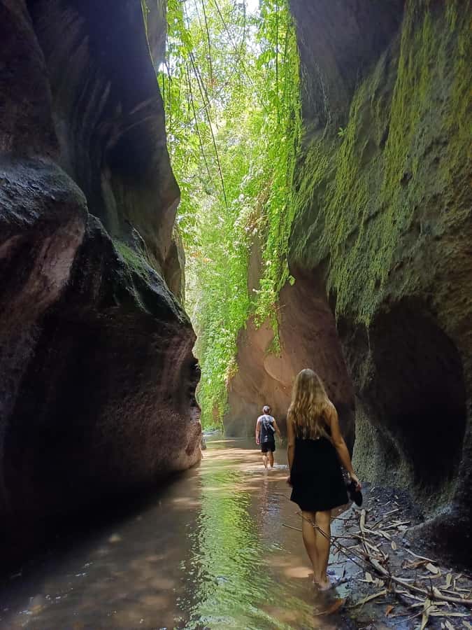 Ubud: Tirta Empul, Rice Terrace, Waterfall and Custom Tour - The quick pass-by stops: what you get, and what you do not