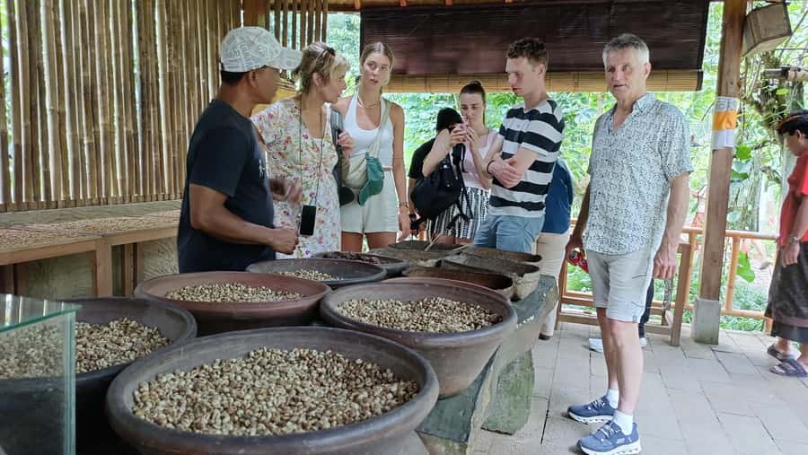 Ubud: Tirta Empul, Rice Terrace, Waterfall and Custom Tour - Value and money reality: what you get for about $22, plus what to budget