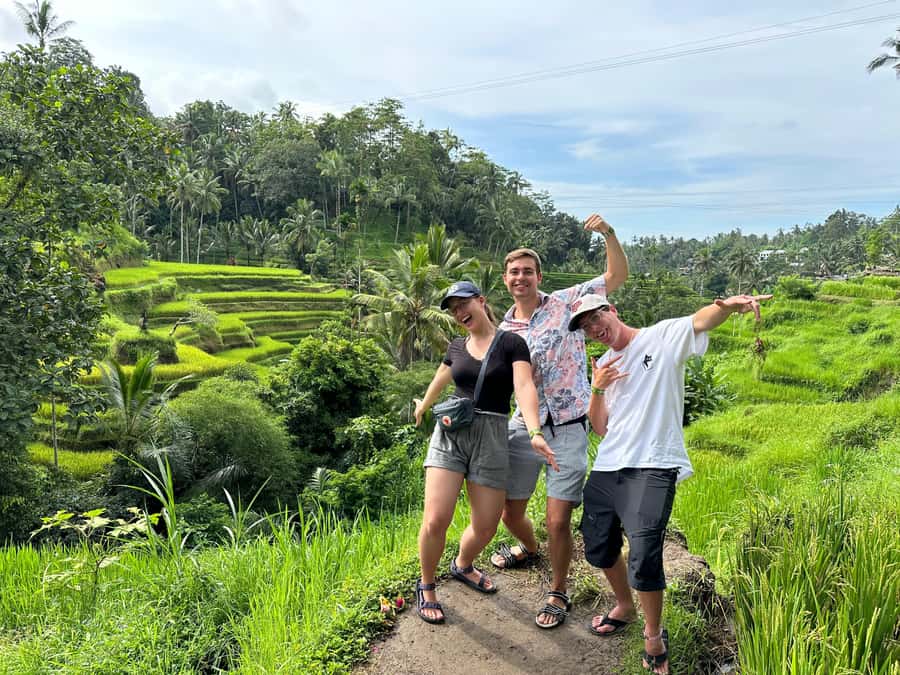 Ubud: Tirta Empul, Rice Terrace, Waterfall and Custom Tour - Tegalalang Rice Terraces: the Subak lesson that makes the view click