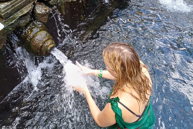 Ubud Tirta Empul Temple Swing And Waterfall Private Guided Tour - Pick-up, timing, and the shape of your day