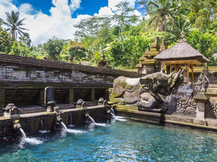 Ubud: Tirta Empul Water Purification Ritual, Private Tour - Ubud coffee tasting: the small add-on that gives your day personality