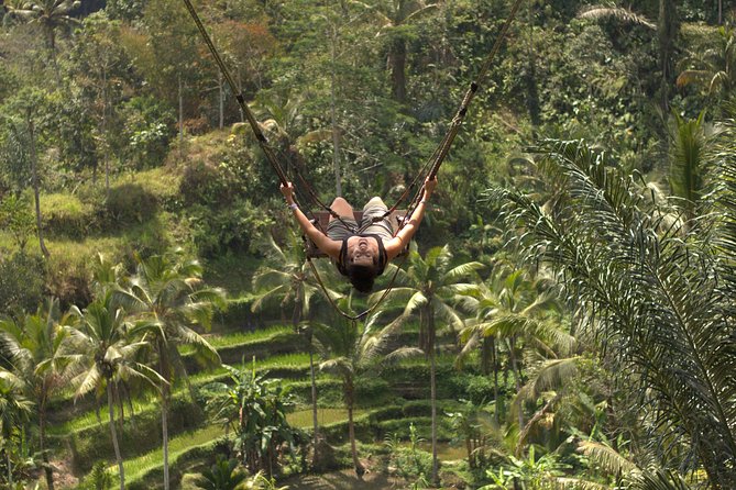 Ubud Top Attractions: Waterfalls, Temples and Rice Terraces - Lunch at D’Alas Warung: eating in the valley view