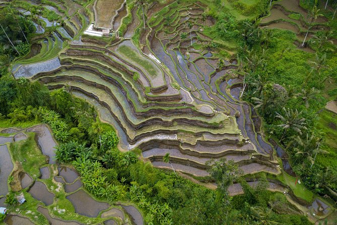 Ubud Top Attractions: Waterfalls, Temples and Rice Terraces - Price and value: why $39 can feel fair, if you pick the right options