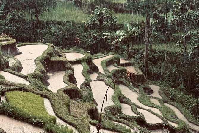 Ubud Top Tours to Discover Bali’s Cultural and Natural Wonders - Key highlights worth caring about