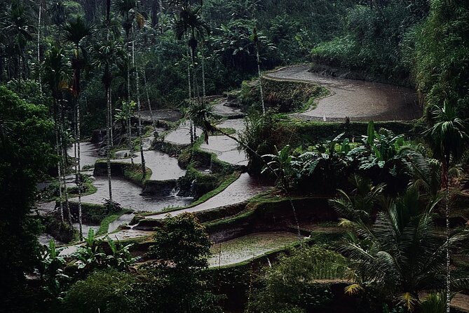 Ubud Top Tours to Discover Bali’s Cultural and Natural Wonders - Kemenuh Monkey River: nature and temples with a calmer vibe