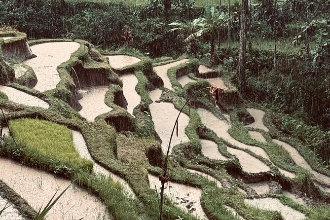 Ubud Top Tours to Discover Bali’s Cultural and Natural Wonders - Ulu Petanu Waterfall: jungle time, cool pools, and good photos