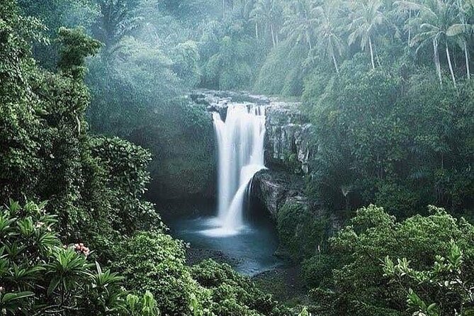 Ubud Top Tours to Discover Bali’s Cultural and Natural Wonders - Tirta Empul Temple: the cleansing ritual and what to expect