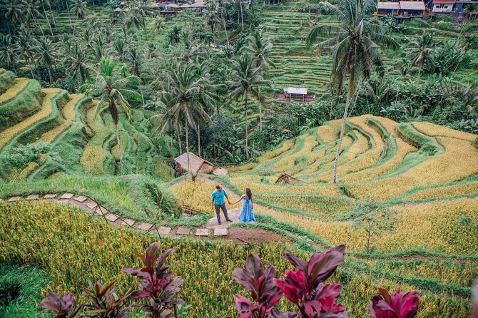 Ubud Tour - Best of Ubud - All Inclusive - Ubud in One Day: Temples, Water, Rice Terrace, and the Swing Stop