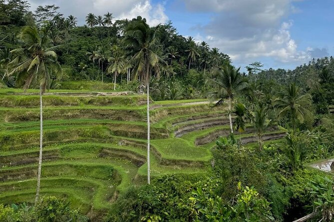 Ubud Tour - Highlight of Ubud - Traditional Tour - Price and group size, what feels like a fair value