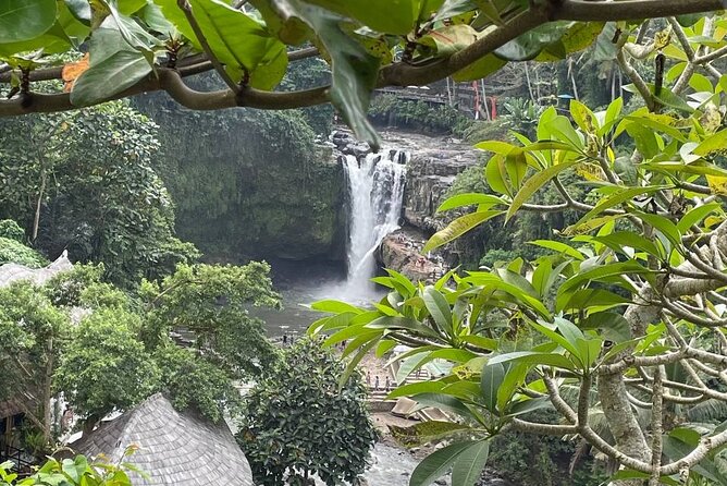 Ubud Tour - Highlight of Ubud - Traditional Tour - Stop 3: Sacred Monkey Forest Sanctuary, fascinating but plan for the practicals