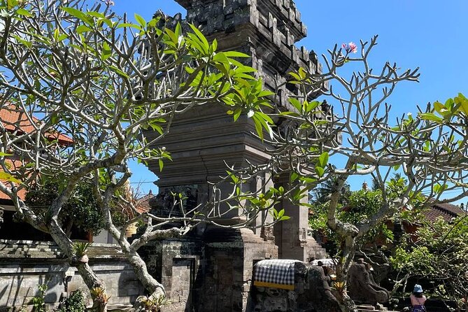 Ubud Tour - Highlight of Ubud - Traditional Tour - Stop 5: Tirta Empul Temple, ending with another sacred stop