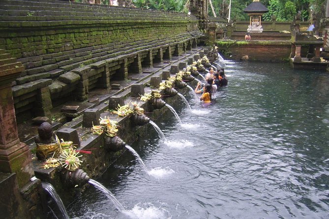 Ubud Tour - Ubud Highlight - Private Tour All inclusive - Monkey Forest timing and how to enjoy it (not just survive it)