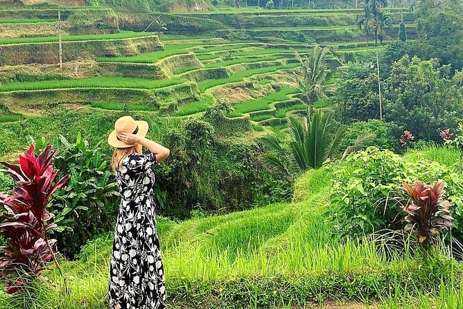 Ubud Tour - Ubud Highlight - Private Tour All inclusive - Pickup and comfort from Seminyak, without the travel hassle