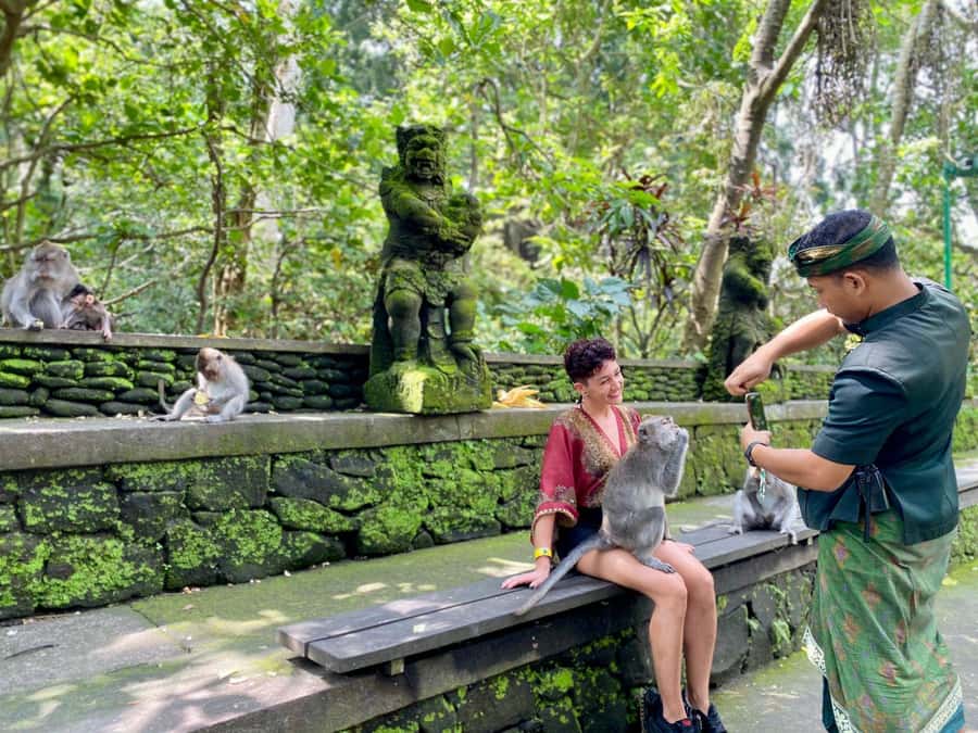Ubud Tour with Optional English, Spanish and Italian Guide - Tegalalang Rice Terraces: Views, Culture Farming, And Optional Thrills