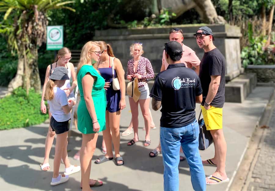 Ubud Tour with Optional English, Spanish and Italian Guide - Ulu Petanu Waterfall: The 90-Step Walk And A Swim That Cools You Off