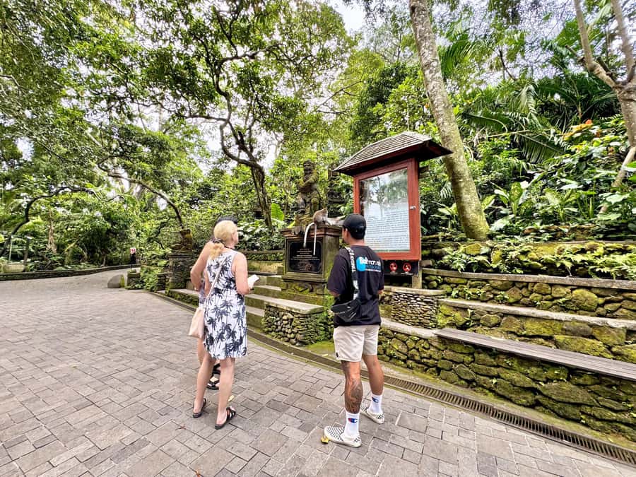 Ubud Tour with Optional English, Spanish and Italian Guide - Price And Value: What $27 Buys In A 10-Hour Private Tour