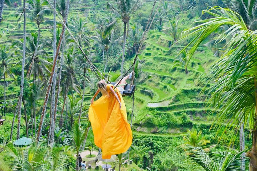 Ubud Tour with Optional English, Spanish and Italian Guide - Sacred Monkey Forest Sanctuary: Monkeys, Photos, And Feeling Safe