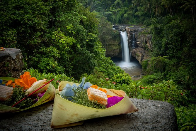 Ubud Tour with Swing, Temple, Monkey Forest, and Waterfall - Sacred Monkey Forest Sanctuary: temples, jungle paths, and real-life macaques