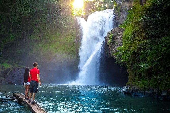 Ubud Tour with Swing, Temple, Monkey Forest, and Waterfall - Coffee plantation focus and the tea and coffee learning moment