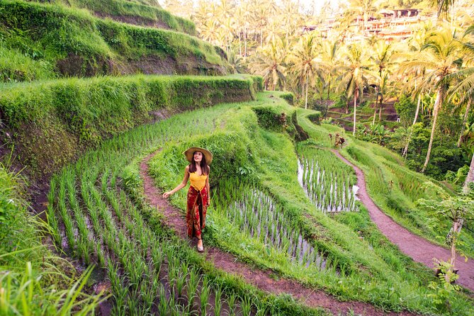 Ubud Tour with Swing, Temple, Monkey Forest, and Waterfall - The 8 to 10 hour rhythm, and how to make it work