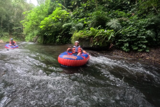 Ubud Tubing Adventure Holy Spring Temple Private Guided Tour - The Value Play: Is $58.34 Worth It?