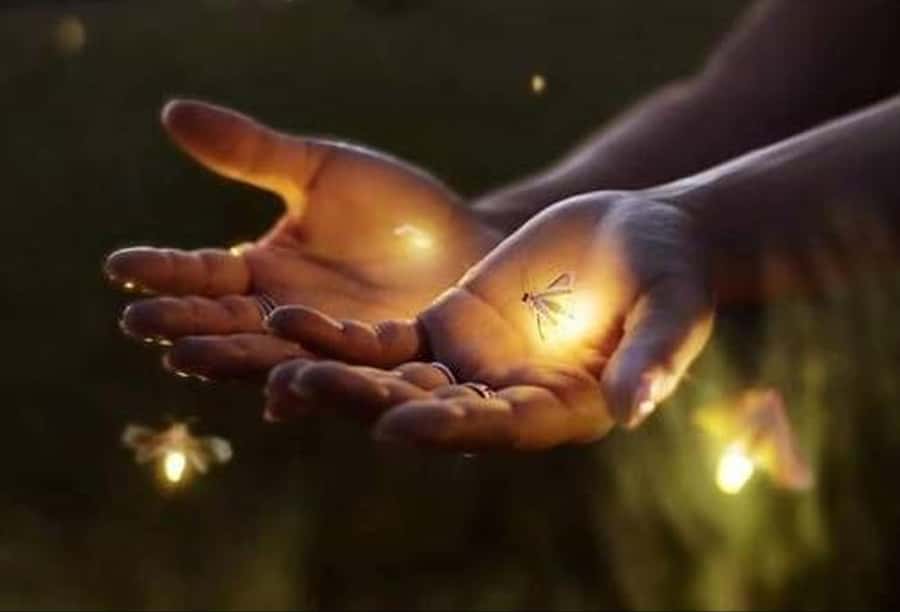 Ubud: Village Firefly Night Tour with Dinner - Key things to know before you go