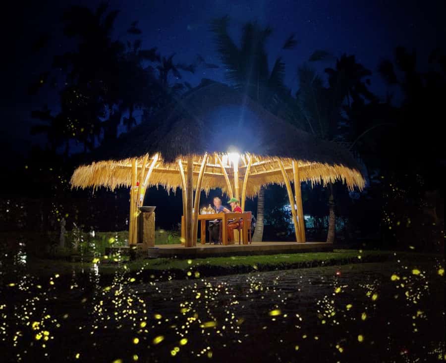 Ubud: Village Firefly Night Tour with Dinner - Dinner With a Purpose: Why This Feast Feels More Real