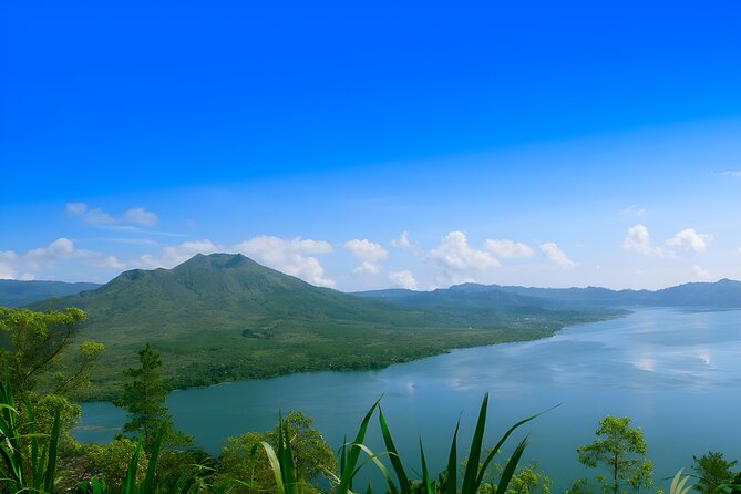 Ubud Village, Waterfall and Kintamani Volcano Tour - Tegalalang Rice Terrace: viewpoints that reward slow looking