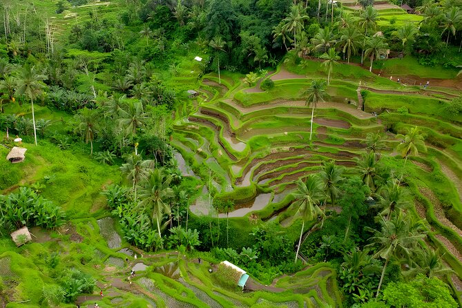 Ubud Village, Waterfall and Kintamani Volcano Tour - Ubud Palace and Art Market: where you can linger without losing the day