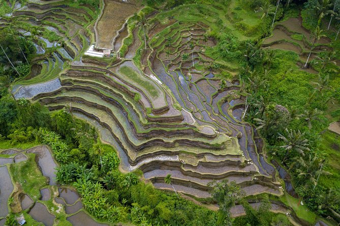 Ubud Volcano Lake and Natural Hot Spring Tour - Tegenungan Waterfall: big water, mountain-fed flow