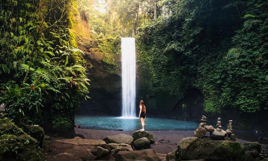 Ubud: Water Temple, Rice Terrace, Waterfall, Private Tour - Key highlights worth your attention