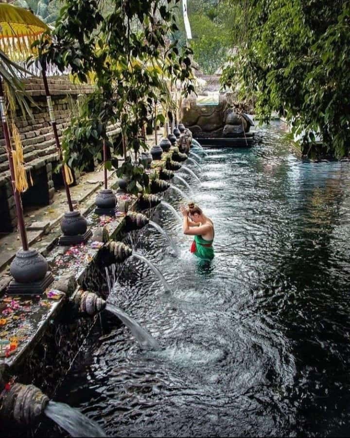 Ubud: Water Temple, Rice Terrace, Waterfall, Private Tour - Coffee and herb plantation: what you learn beyond the souvenir shop