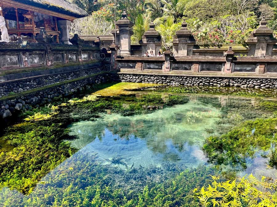 Ubud: Water Temple, Rice Terrace, Waterfall, Private Tour - Food, timing, and what to pack for a day like this