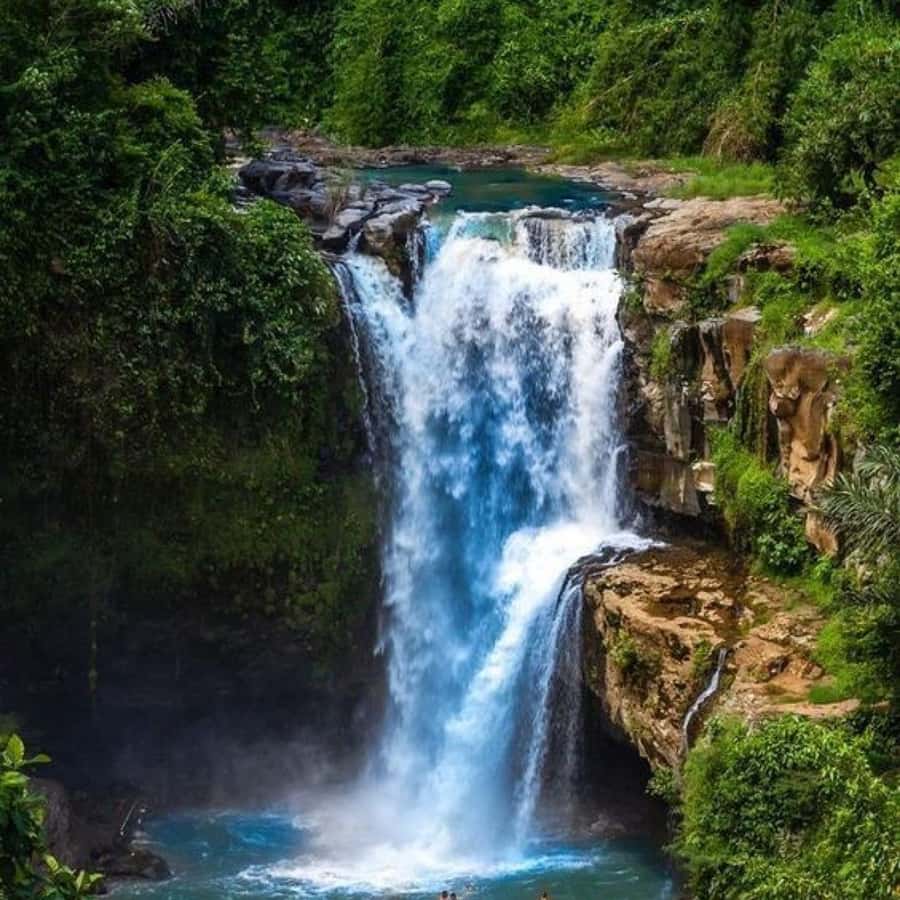 Ubud: Water Temple, Rice Terrace, Waterfall, Private Tour - Who should book, and who should sit this one out