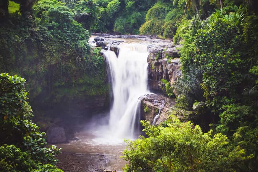 Ubud: Waterfall, Rice Terrace & Temple Private Day Tour - Key things to know before you go