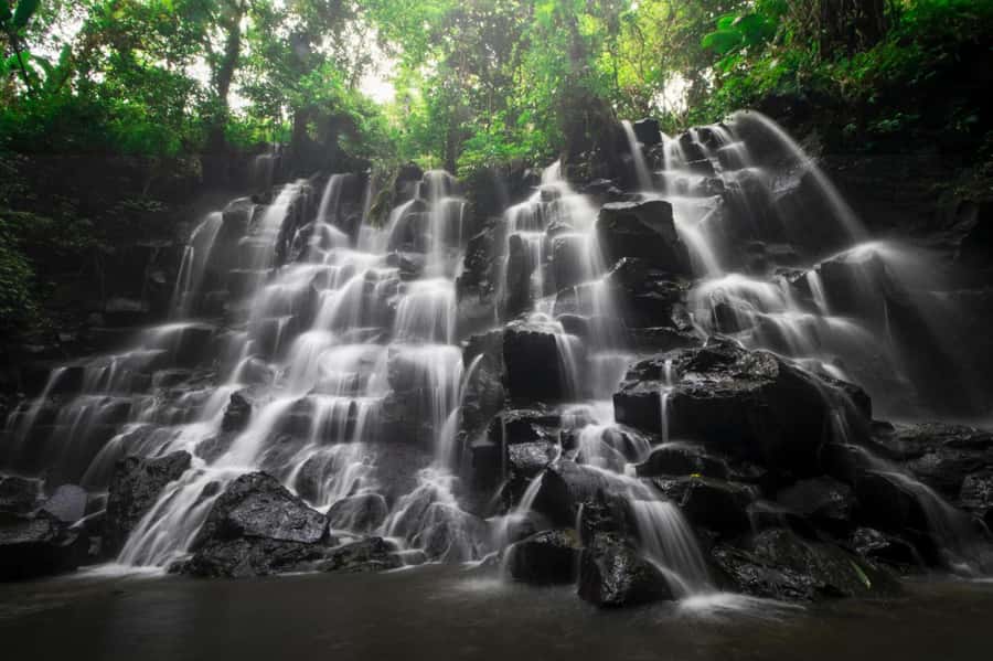 Ubud: Waterfall, Rice Terrace & Temple Private Day Tour - Transport and guide quality: why this tour feels easy