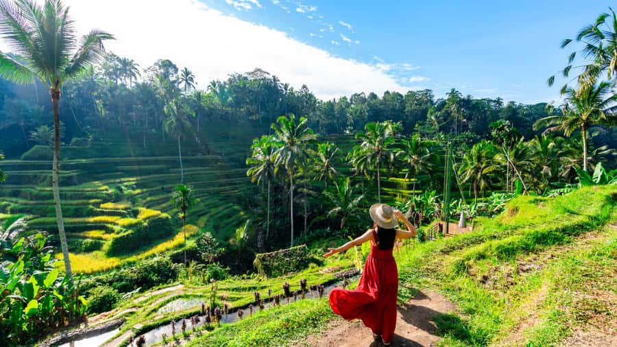 Ubud: Waterfall, Rice Terraces & Monkey Forest Private Tour - Ubud Palace and Jungle Swing: Short Stops, Big Photo Impact