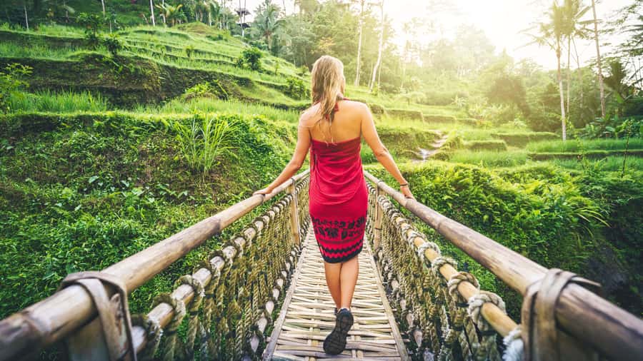 Ubud: Waterfall, Rice Terraces & Monkey Forest Private Tour - Price and Value: What $23 Gets You in a Full Day