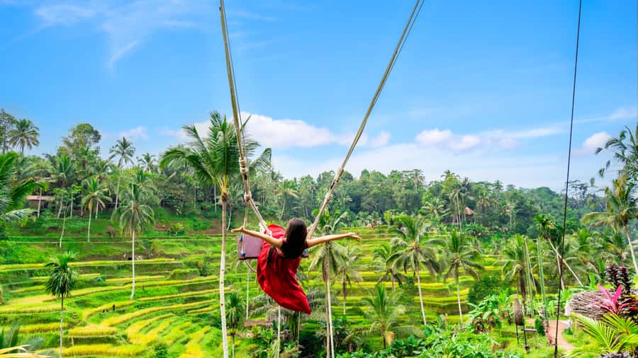Ubud: Waterfall, Rice Terraces & Monkey Forest Tour - Key highlights worth circling before you go