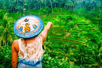 Waterfall, Rice Terraces & Monkey Forest Tour
