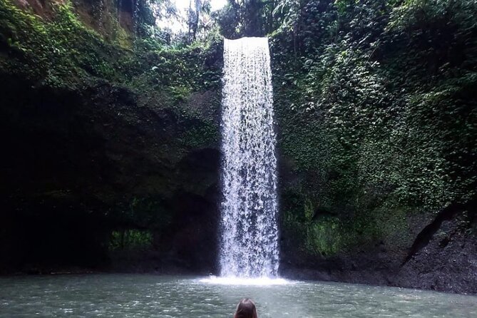 Ubud Waterfalls, Rice Terrace & Jungle Swing - Private Tour - Key highlights you’ll feel right away