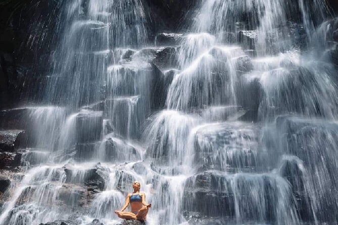 Ubud Waterfalls, Rice Terrace & Jungle Swing - Private Tour - A practical way to “do” Ubud without the stress